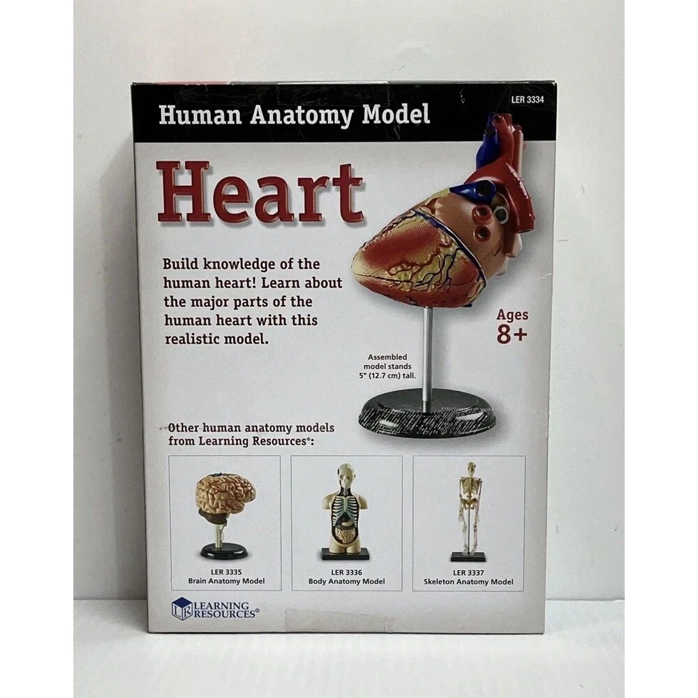 Learning Resources Human Heart Anatomy Model 29 Piece Educational Set LER3334
